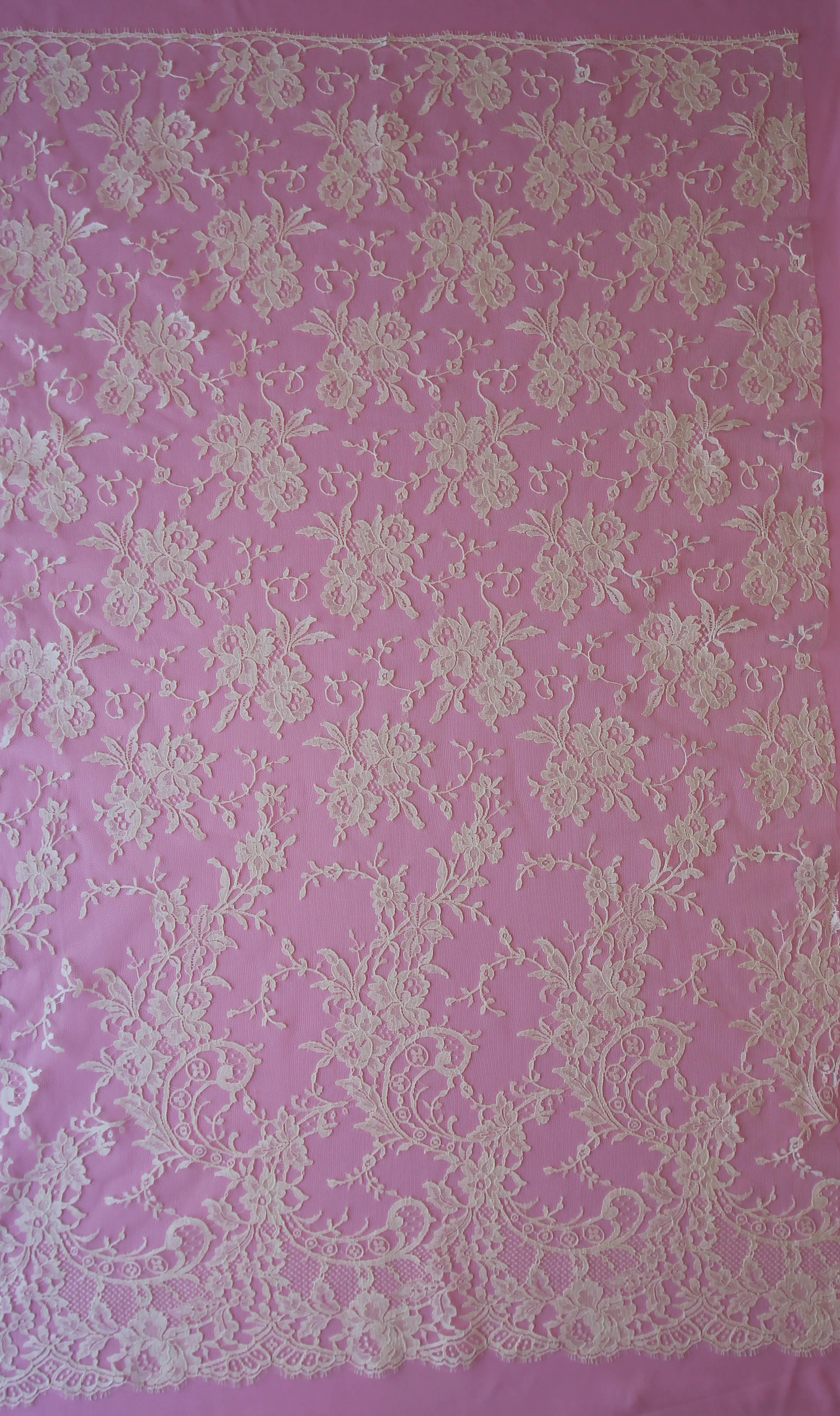 Champagne Chantilly Lace - Dorina