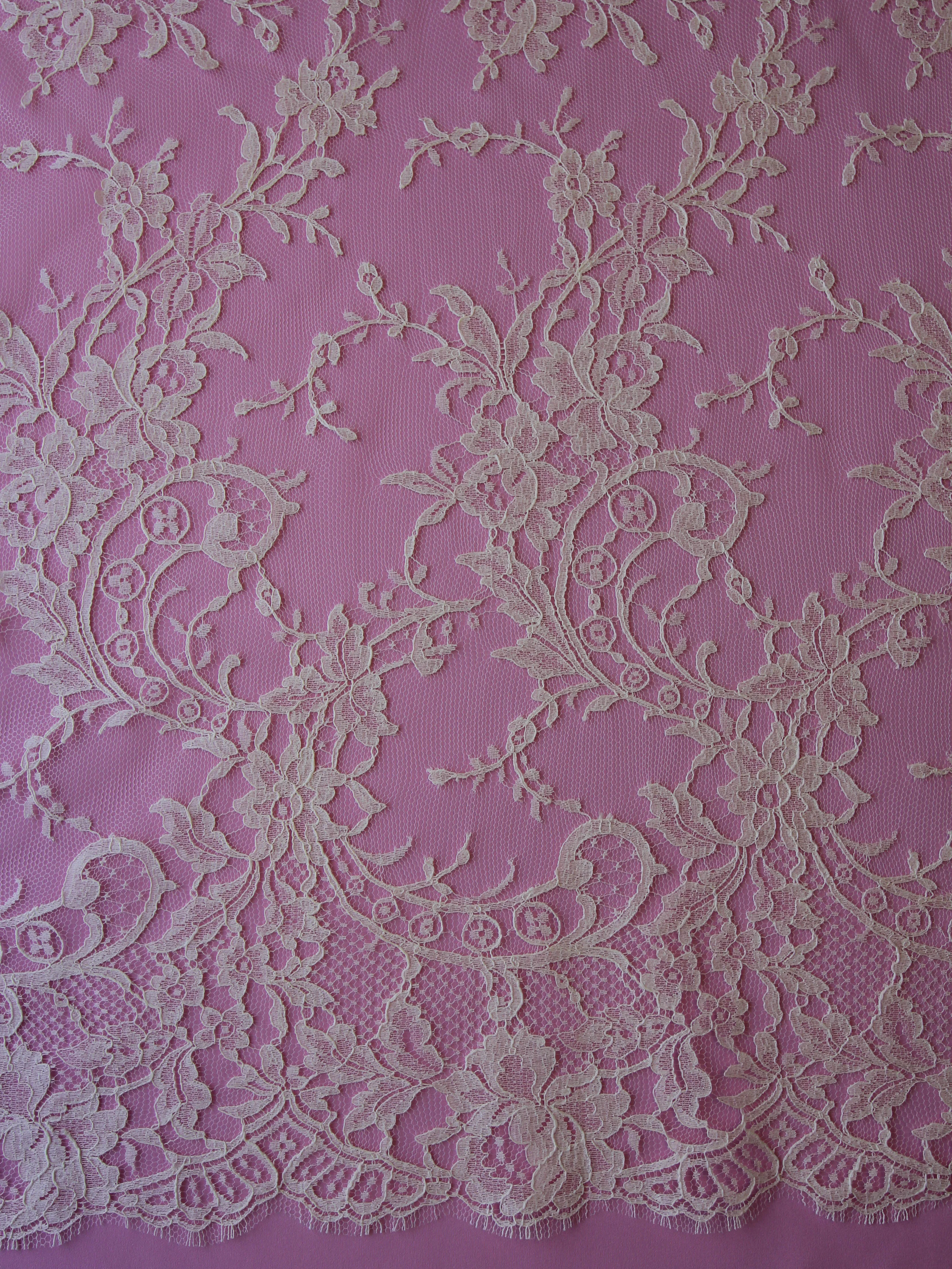 Champagne Chantilly Lace - Dorina
