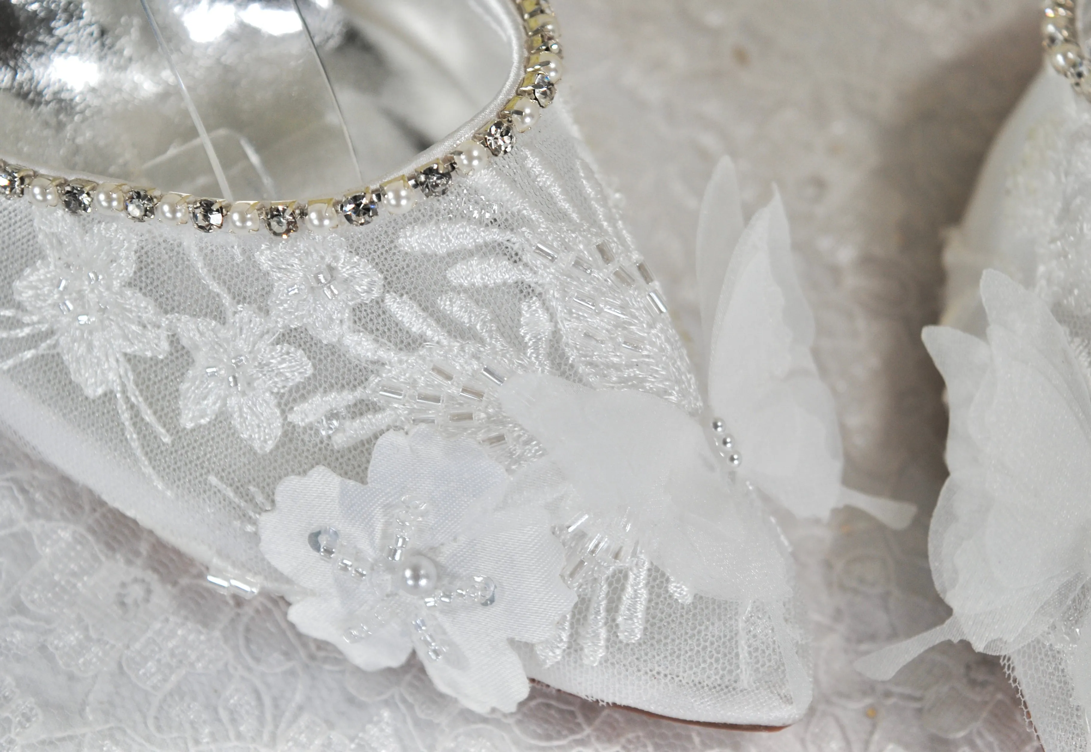 White Butterfly